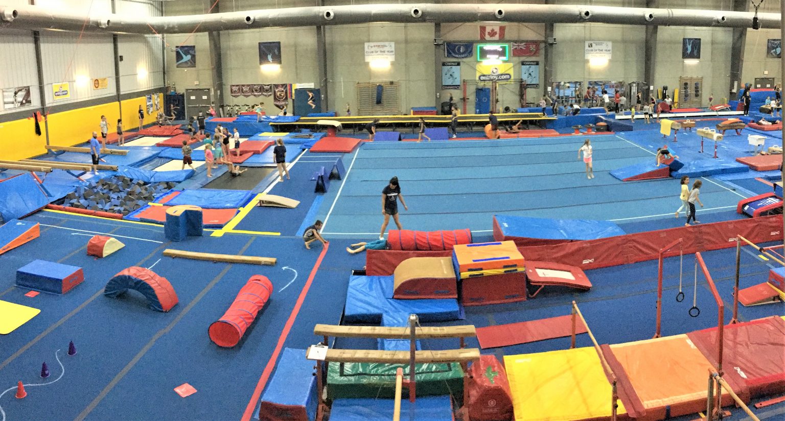 Thank you for Participating - Oakville Gymnastics